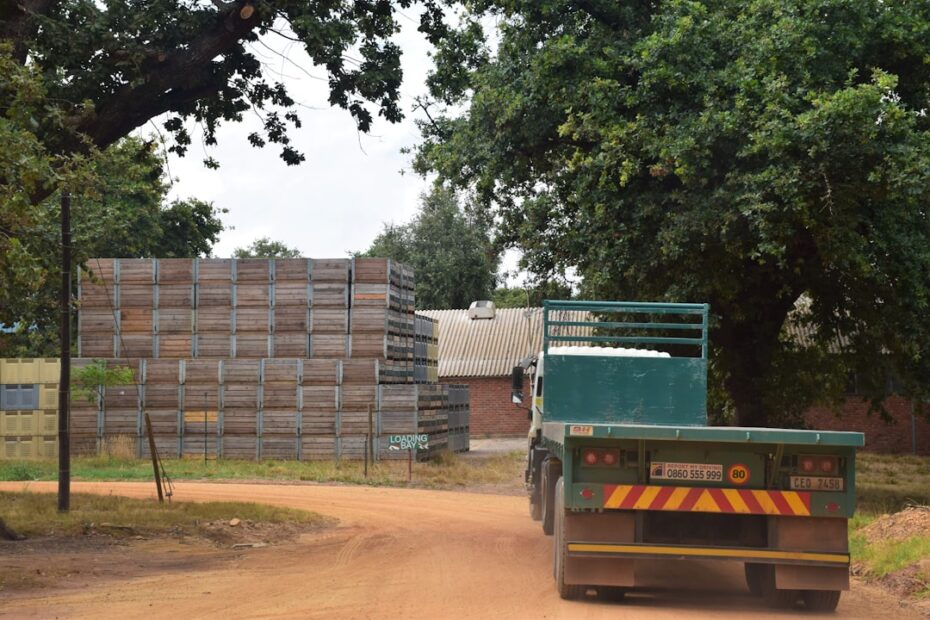 Supply chain logistics and warehouse operations in East Africa